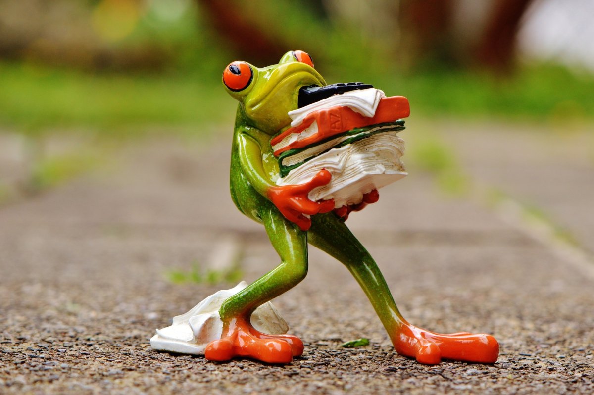 frog_with_files.jpg