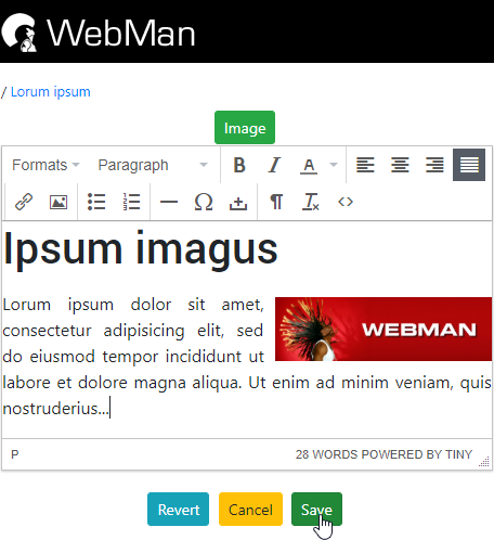 Edit text and image with Tiny MCE