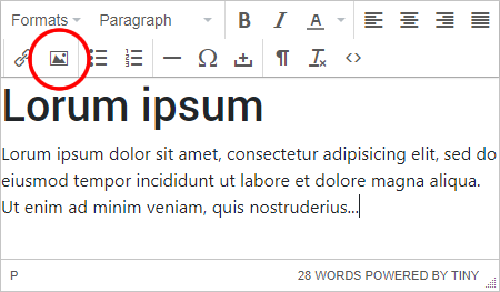 Tiny MCE toolbar